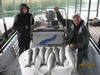 (09/12/2014) - Nice Striped Bass